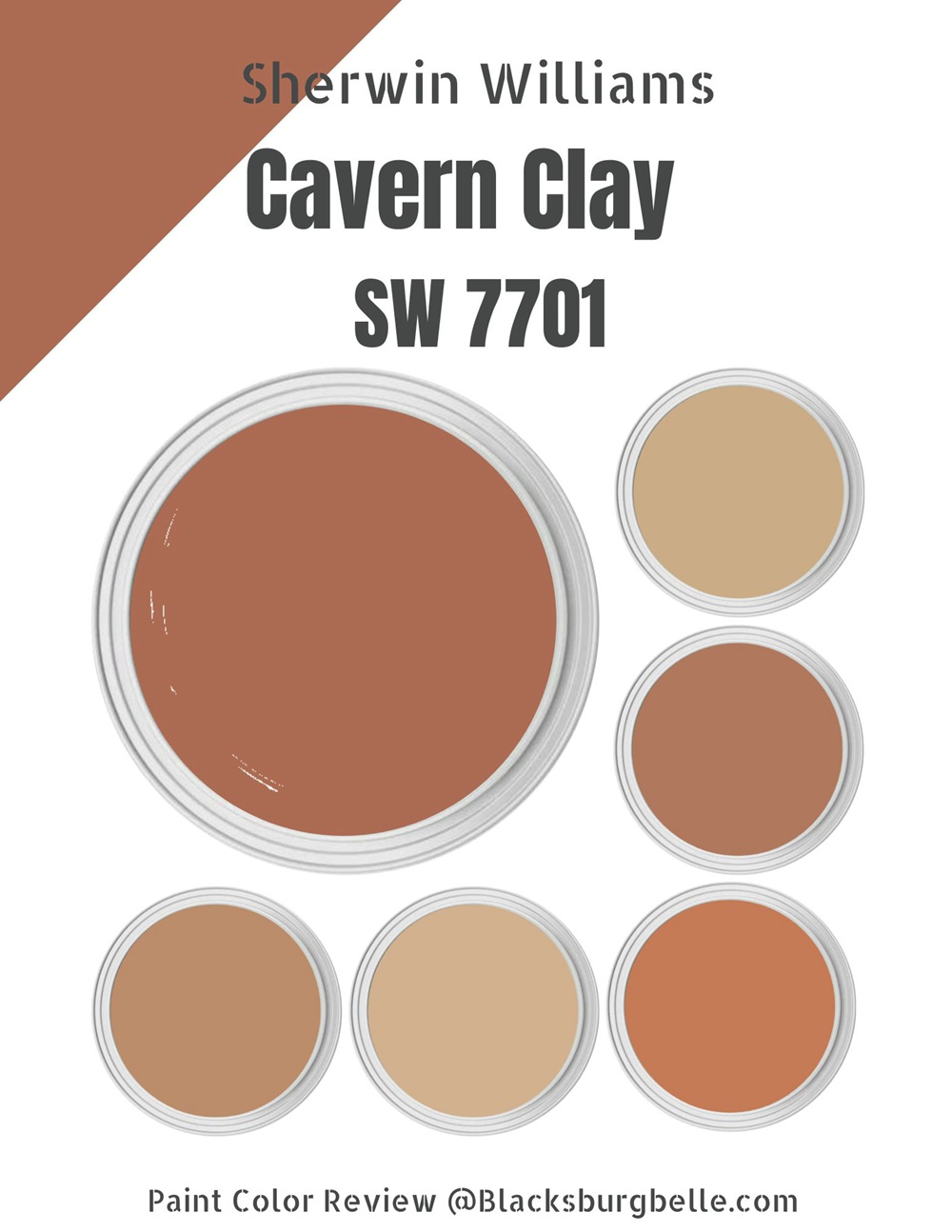 Sherwin Williams Cavern Clay